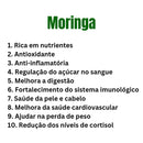 KIT OZEMPIC 100% NATURAL - PSYLLIUM + MORINGA