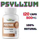 PSYLLlUM 100% NATURAL 500 Mg