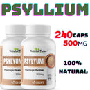 PSYLLlUM 100% NATURAL 500 Mg